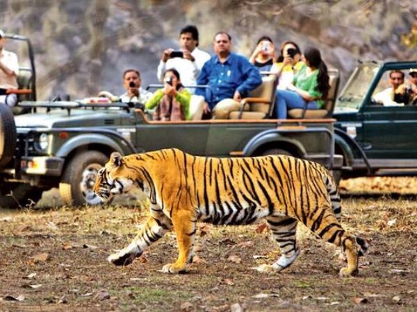 Ranthambore